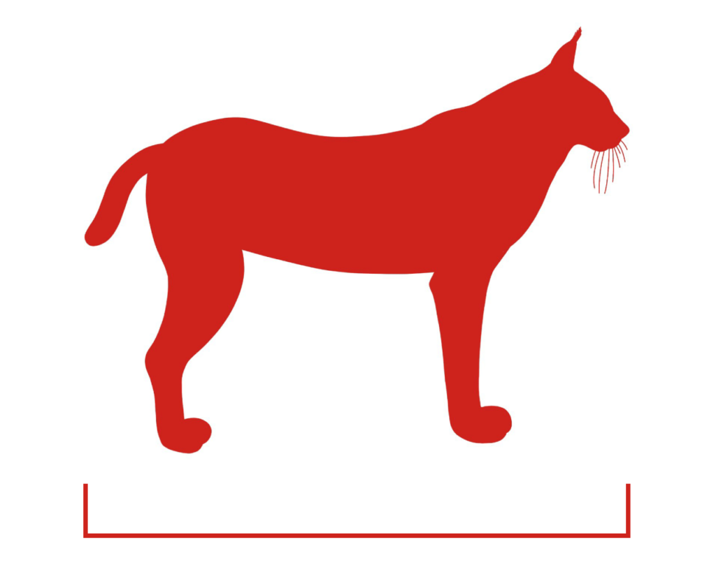 Luchs Icon