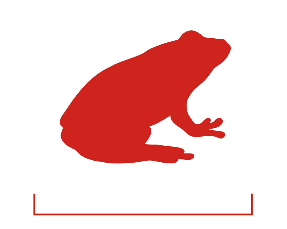 Laubfrosch-icon