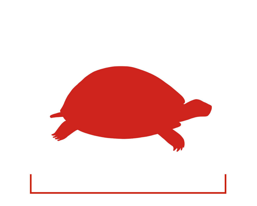 Sumpfschildkröte-icon