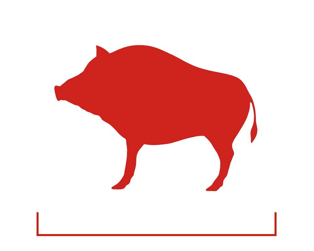 Wildschwein-icon