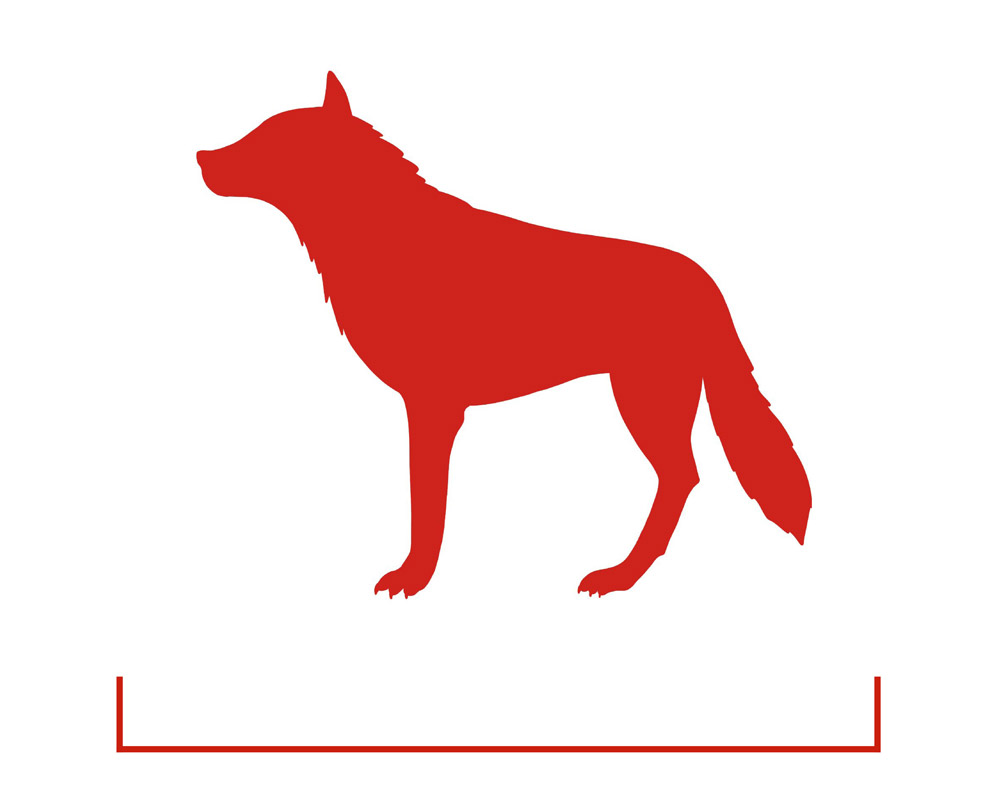 Wolf-icon